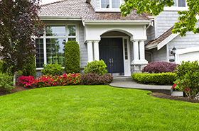 Beautiful Front Lawn 280x185
